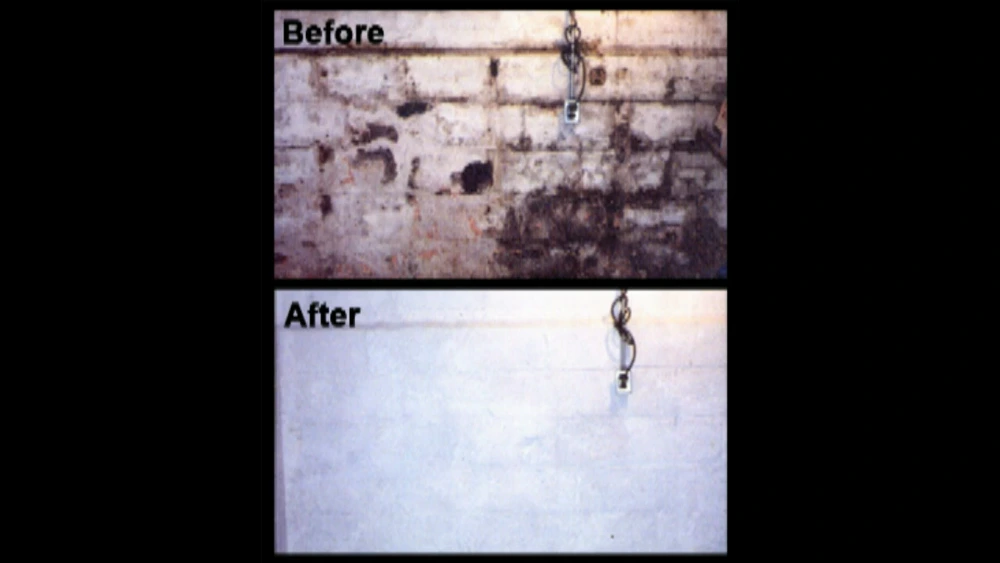 Before and after photos of a basement wall with heavy mold growth fully remediated