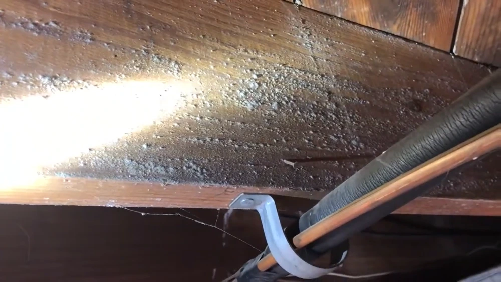 Mold and mildew on a crawl space floor joist before remediation in Cherry Hill, NJ