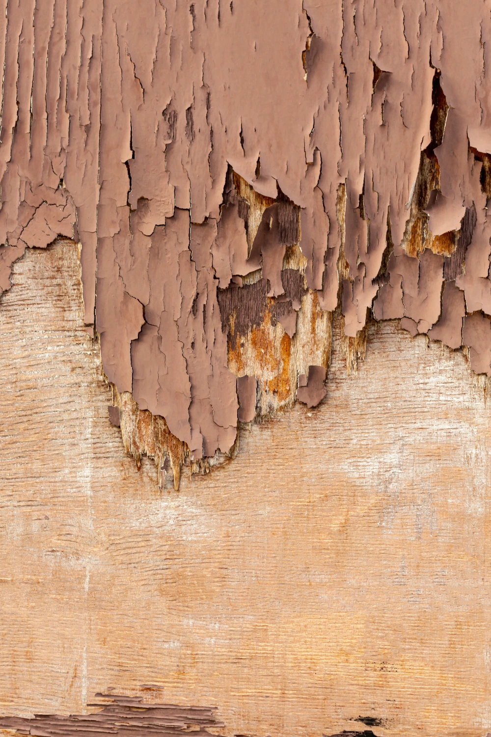Rotted wood framing and peeling paint caused by long-term moisture and mold damage